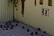  Алушта, Семидворье,    ЮБК,     Майские праздники Частный сектор : Отдых в Семидворье 11 км от Алушты  Хельга