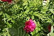 Img 20190518 095307