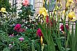 Img 20190520 182707