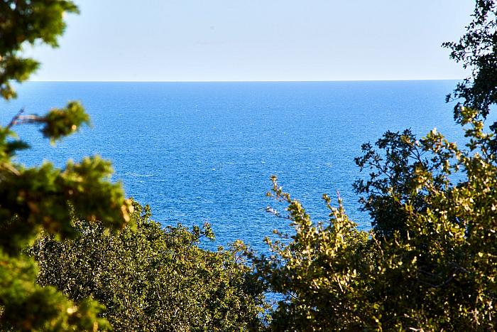 алупка отдых