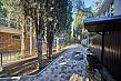 Dvor