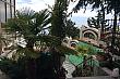 номер  Сакура  гостевой дом Алушта  