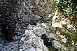 11 dsc03481