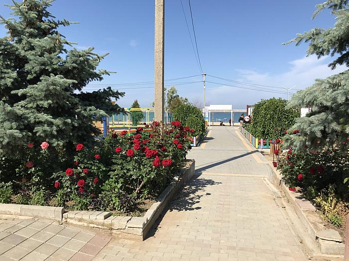 Крым Орловка Звездный берег