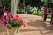 Img 7156