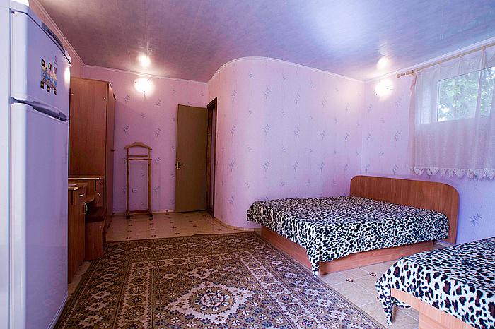 Фото люкс без кондиционера , есть хол-к, и телевизор