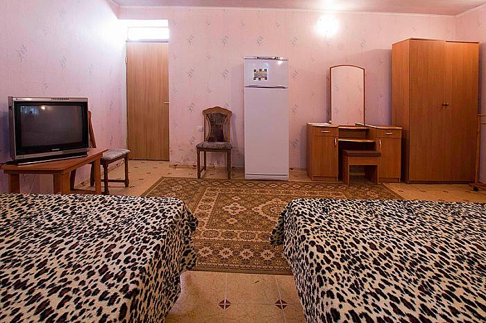 Фото люкс без кондиционера , есть хол-к, и телевизор