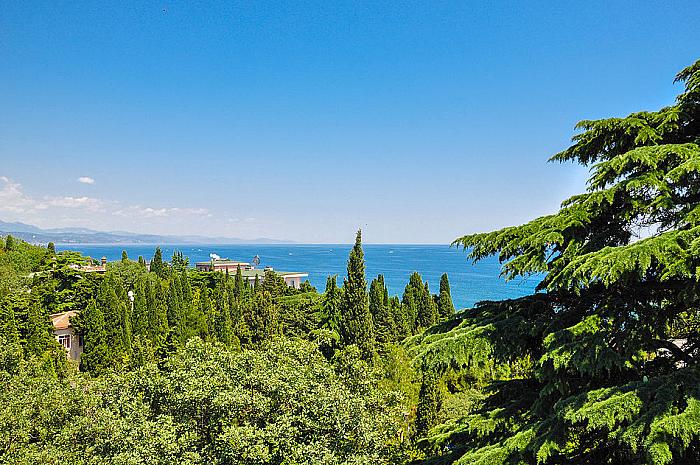 Крым, Алушта, Профессорский уголок