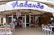 Img 5179