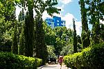 Отдых с детьми  в Алуште У приморского парка 