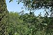 вид