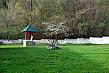Dscf5981
