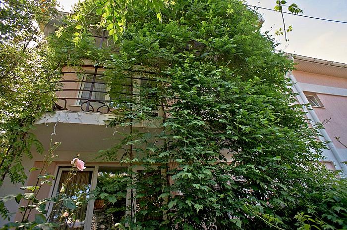 Гостевой дом в Алуште цены