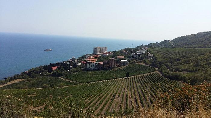 Крым Алушта Отдых в Профессорском уголке Анигора