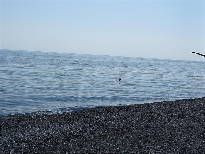 Недорогой отдых в Алуште Эллинг