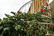  - Крым Частный сектор Судак 