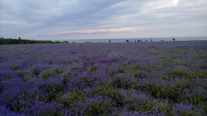 Крым, г. Севастополь, село Андреевка, частный сектор