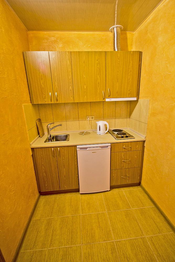 фото Эллинг Утес : ДВУХМЕСТНЫЙ НОМЕР С КРОВАТЬЮ И МИНИ-КУХНЕЙ