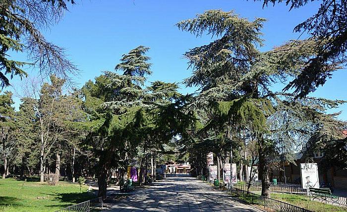 Алупка Гостиница