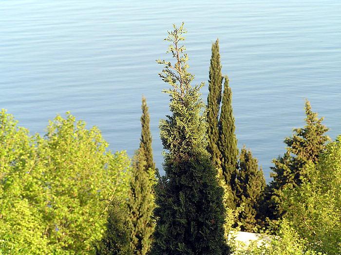 Недорогая база отдыха в Алуште с. Солнечногорское