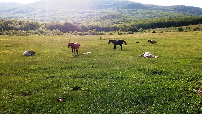 Отдых в Крыму цены 2022. Все самое лучшее, Западный Крым, Новый год в Крыму 2020, Майские праздники, Кизиловое Базы отдыха: Кизиловая
