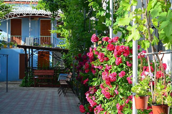 недорогой отдых в Крыму частный сектор Феодосия, Береговое